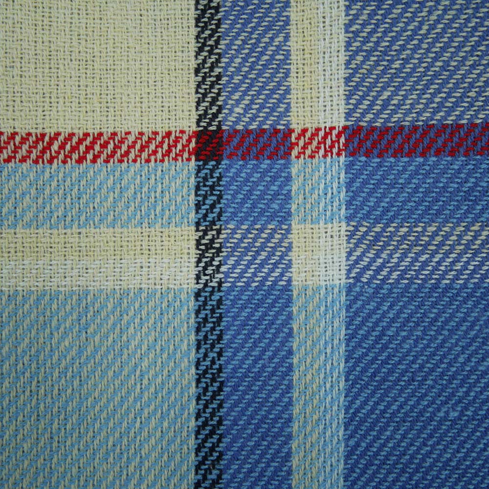 Close up of blue and red tartan picnic blanket