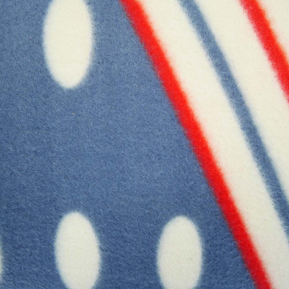 Close up of blue and red picnic blanket